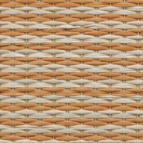 彩園 05ブラウン